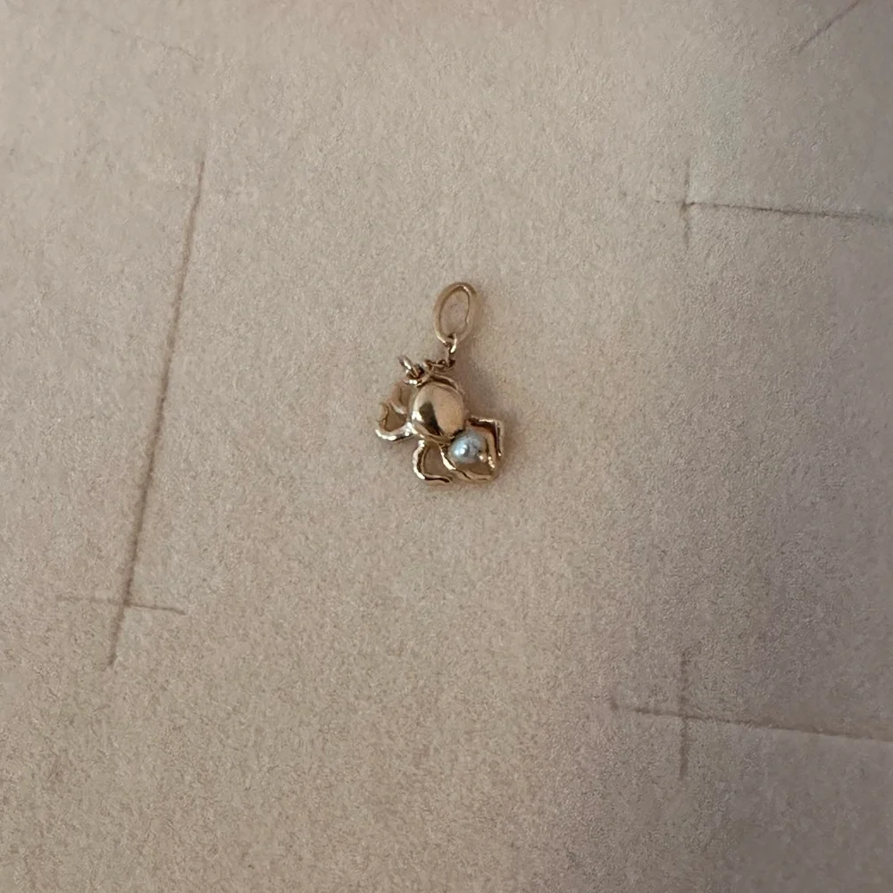 Catbird spider charm - Picture 2 of 4